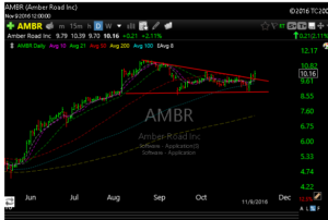 ambr