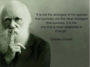 darwin