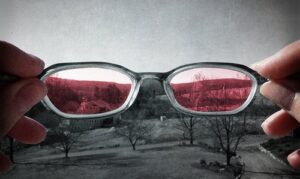 forcasting shades