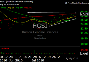 hgsi HGSI