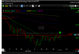ibb
