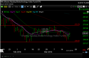 ibb