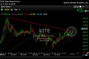 kite