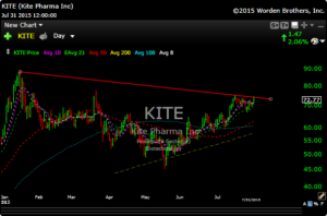 kite